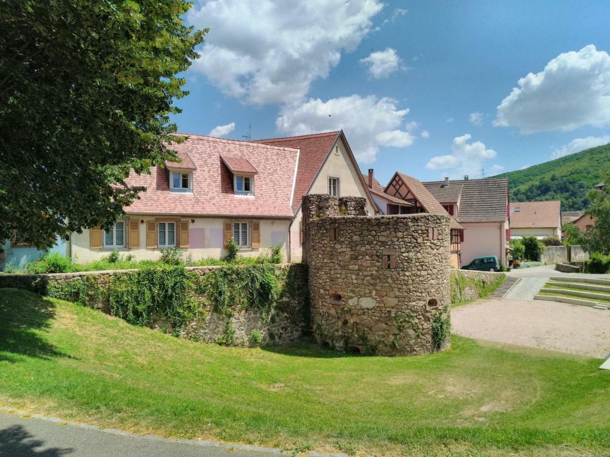La Grande Terrine - Gites Les Potiers Kaysersberg-Vignoble Exterior foto