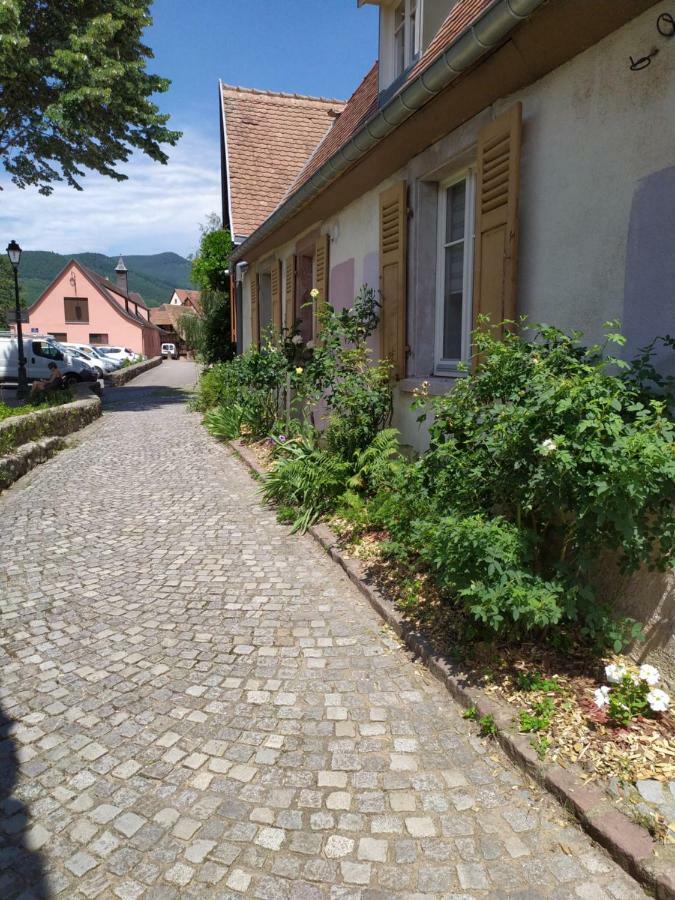 La Grande Terrine - Gites Les Potiers Kaysersberg-Vignoble Exterior foto